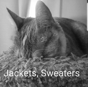 Jacket, sweaters and vest